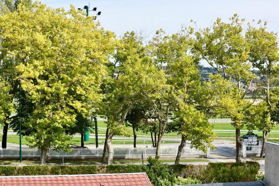 Landmark view