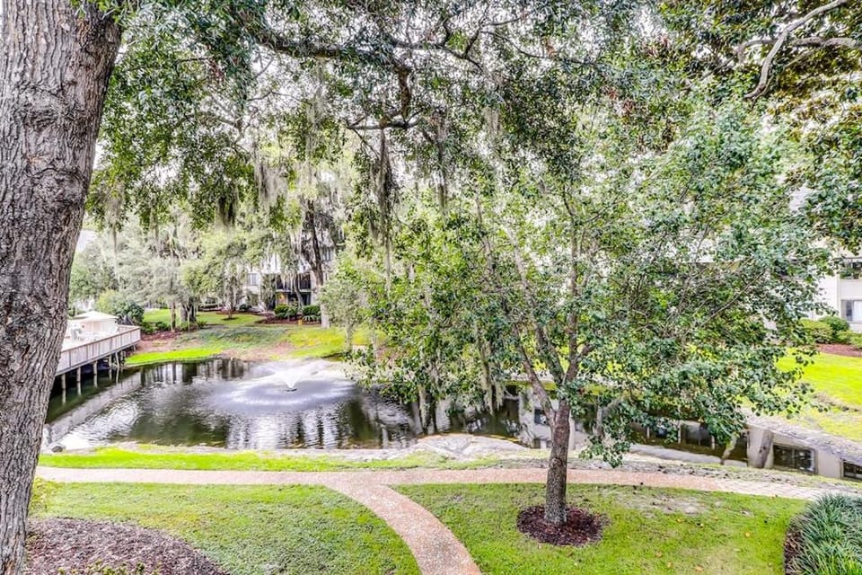 Springwood Villas 93 House in Hilton Head Island