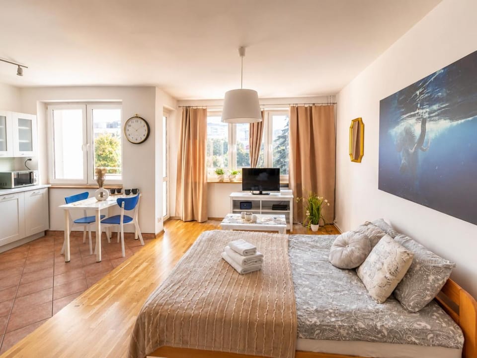 Bed, TV and multimedia, Kitchen or kitchenette, Living room, Photo of the whole room, Seating area, Dining area, Bedroom