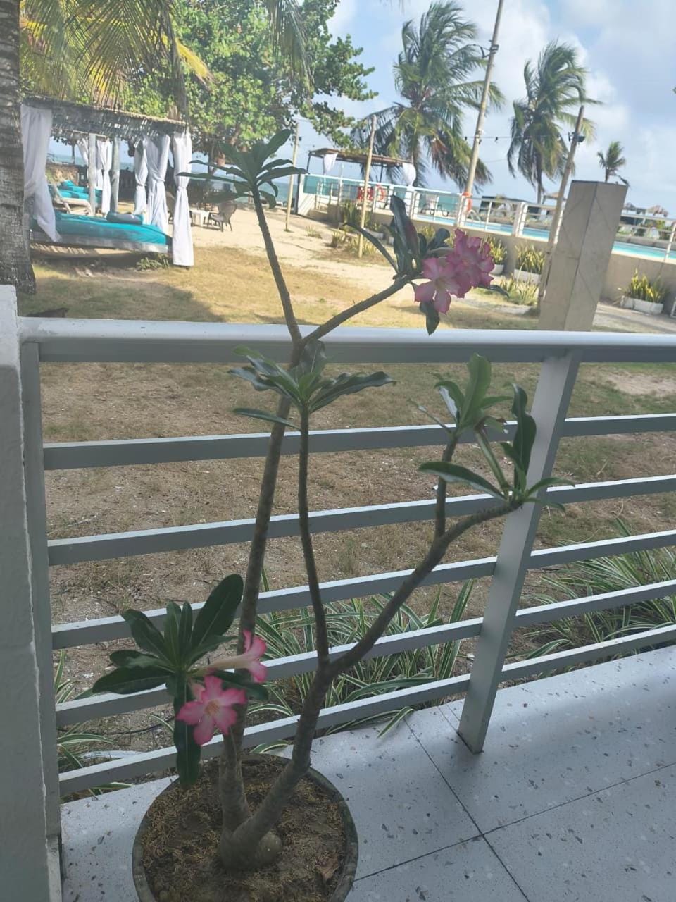 View (from property/room)