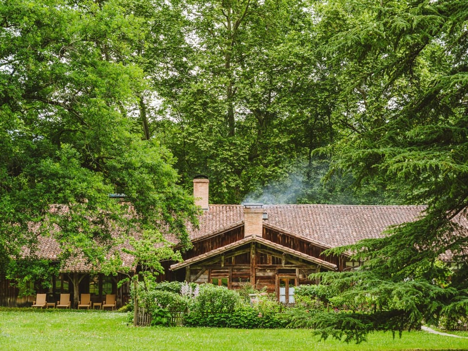 Natural landscape, Garden, Spa and wellness centre/facilities, Garden view