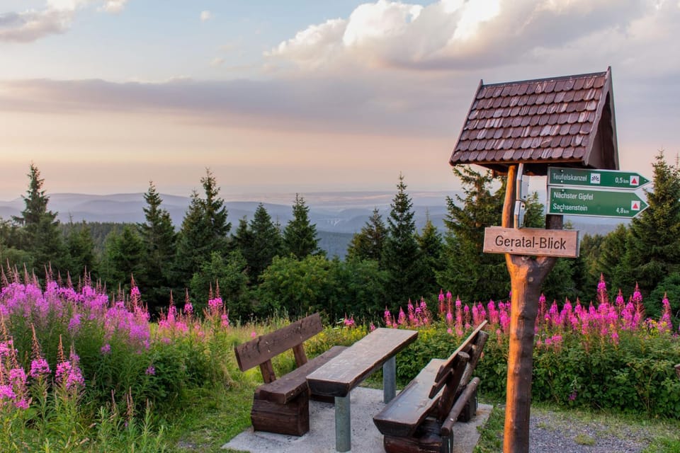 Natural landscape, Summer, Hiking