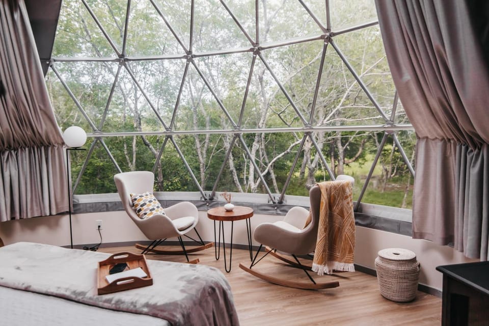 Bed, View (from property/room), Living room, Photo of the whole room, Seating area, Bedroom, Garden view