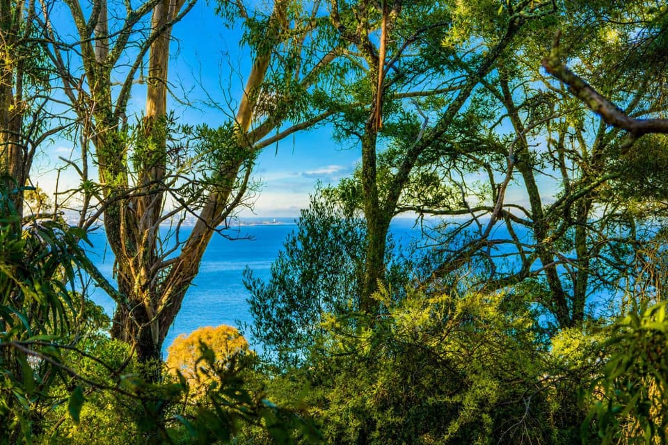 Treetops-Large Home 9km to CBD Sleeps 10 House in Tasmania