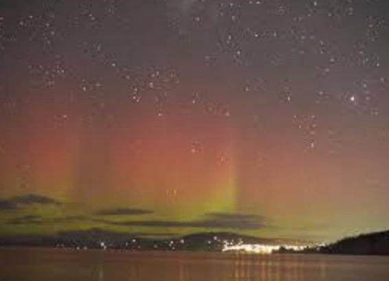 Treetops-Large Home 9km to CBD Sleeps 10 House in Tasmania