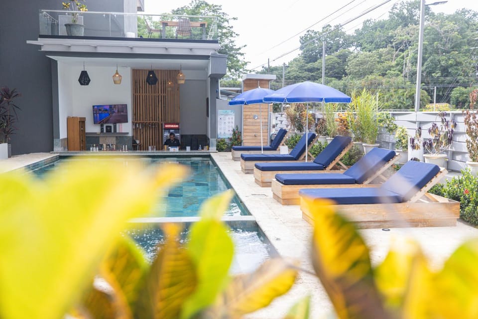 Property building, Natural landscape, Pool view, Swimming pool, Swimming pool, sunbed