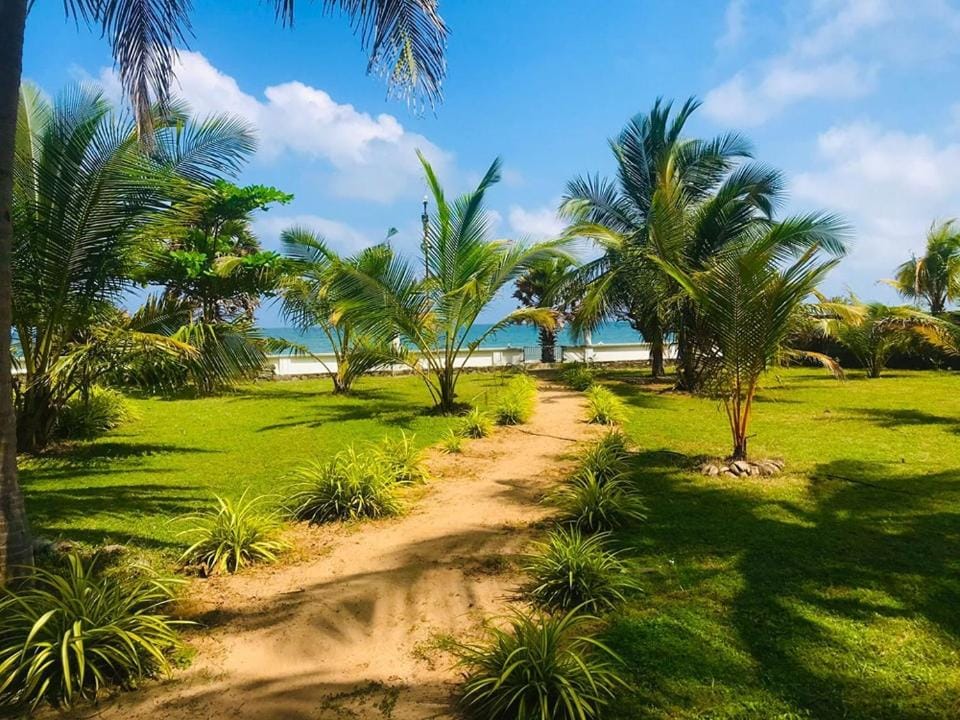 Day, Natural landscape, Garden, Beach, Garden view, Sea view, Sea view