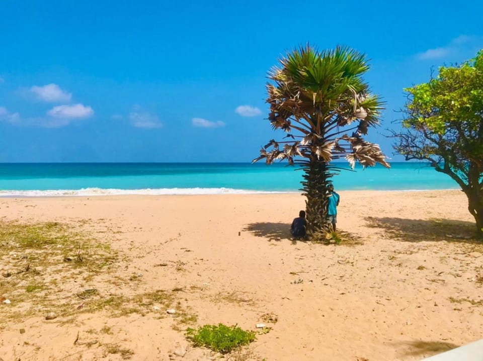 Day, Natural landscape, Beach, Sea view