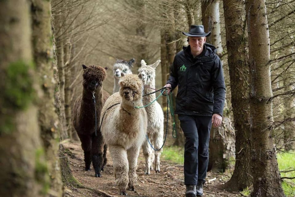 View (from property/room), Animals