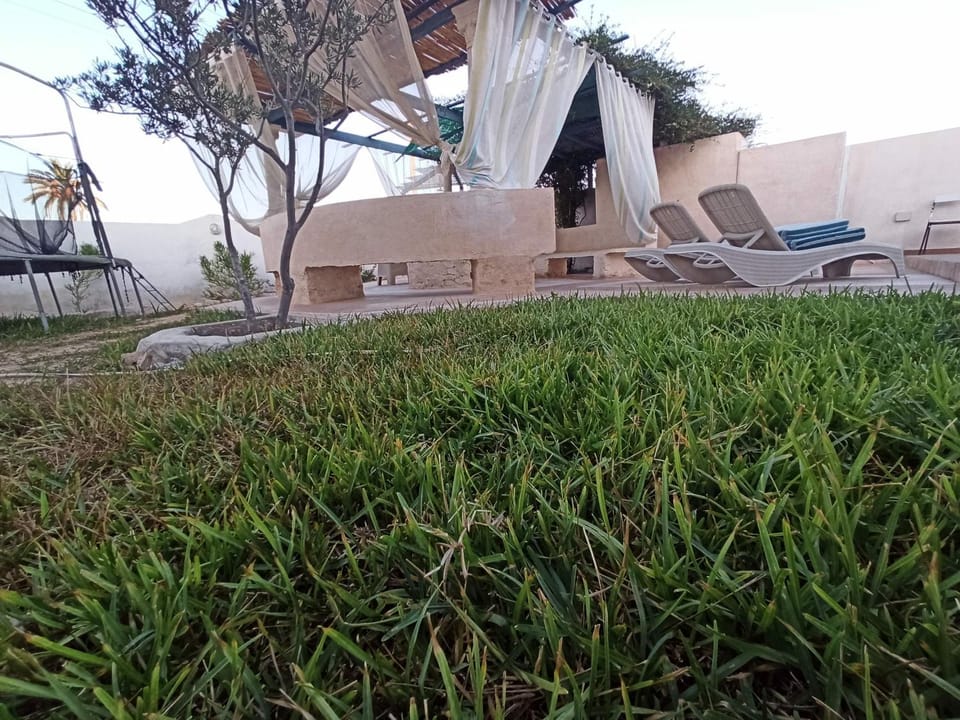 Natural landscape, Seating area, Garden view