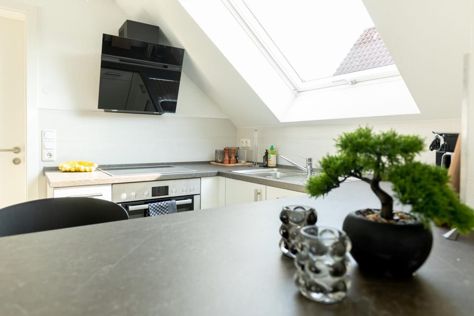 Kitchen or kitchenette, Dining area, pet friendly, stove