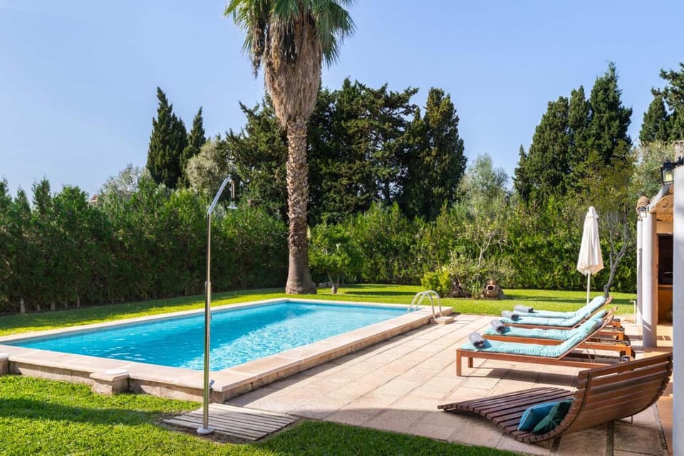 Spring, Day, Natural landscape, Garden, Garden view, Pool view, Swimming pool, sunbed