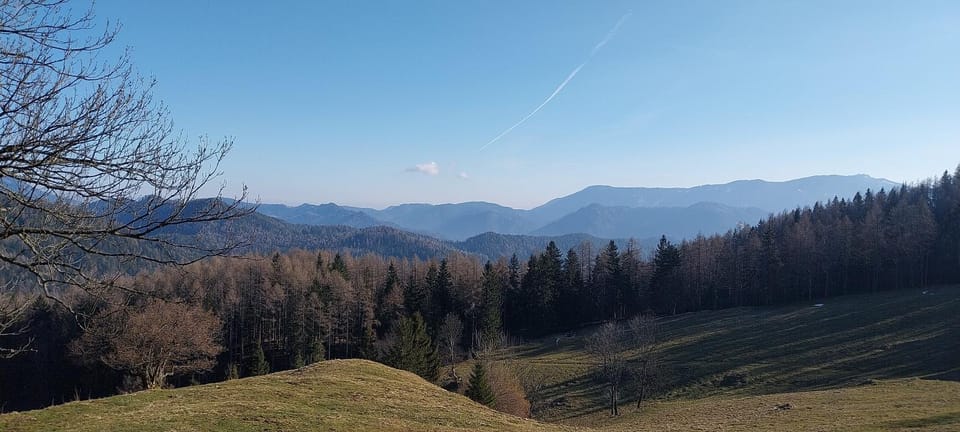 View (from property/room)