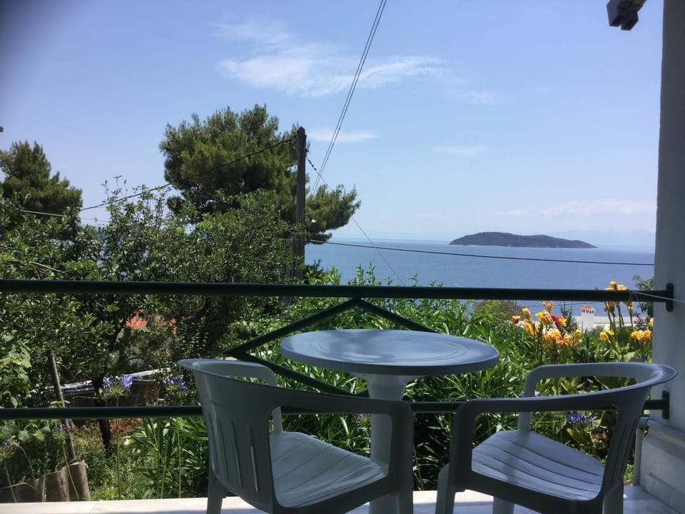 View (from property/room)