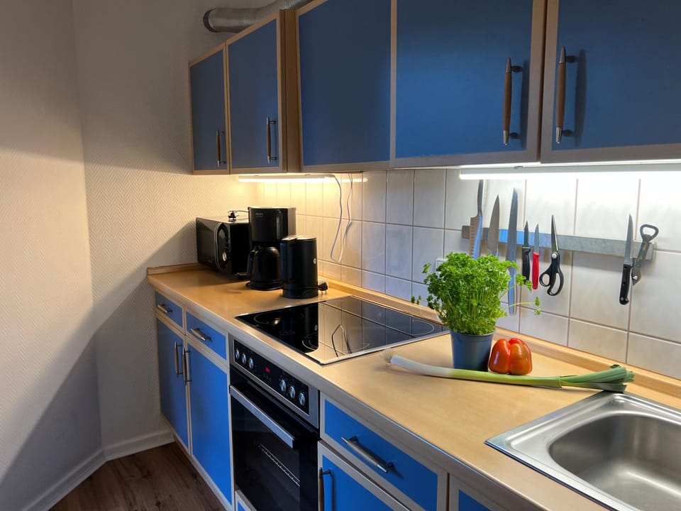 Coffee/tea facilities, Kitchen or kitchenette, minibar, stove