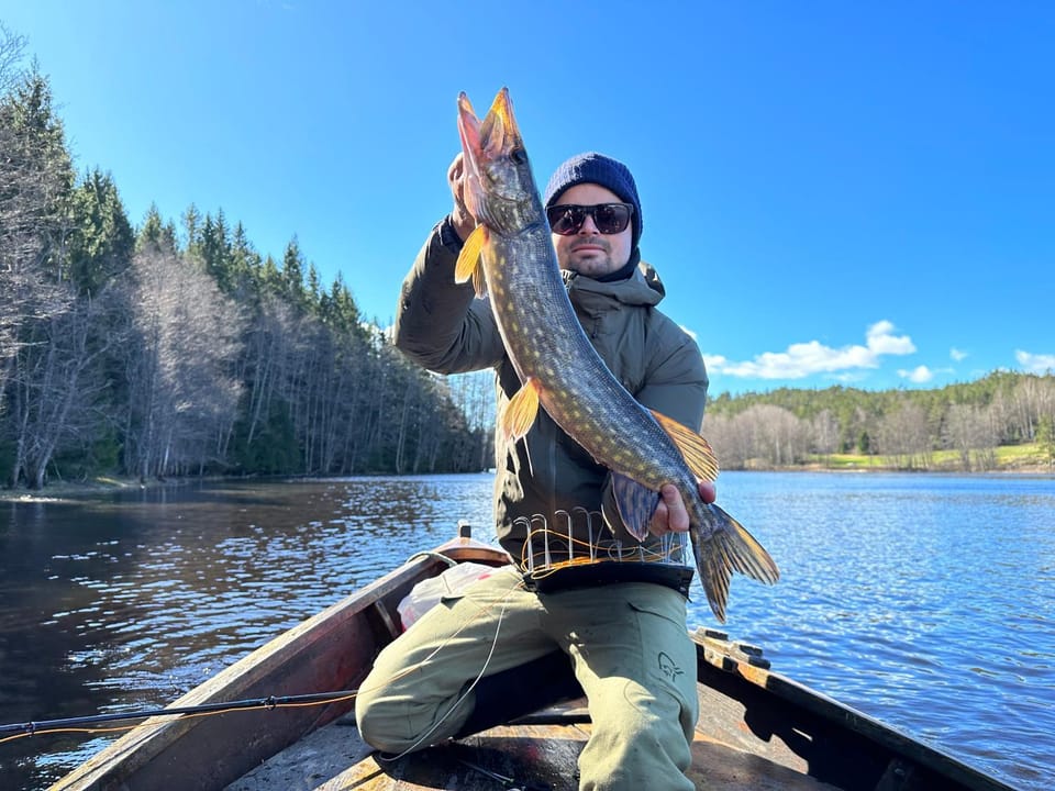 Fishing, Fishing