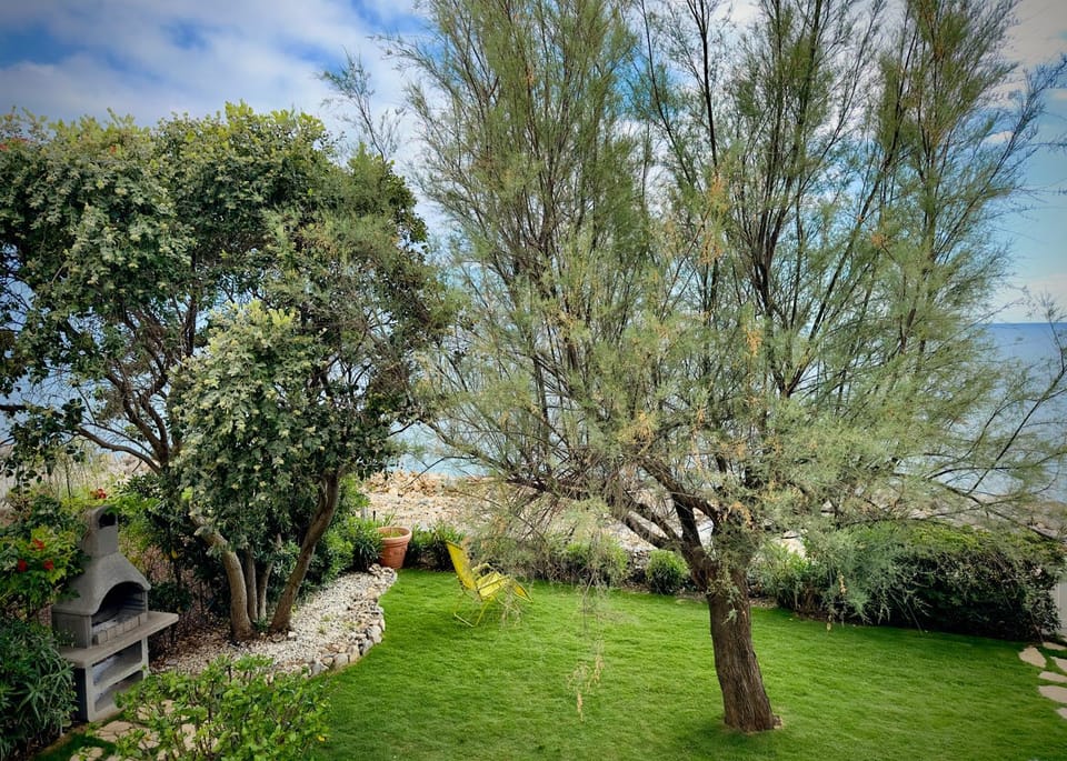 Garden, Sea view