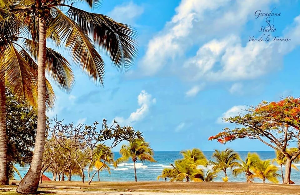 Patio, View (from property/room), Beach, On site, Sea view