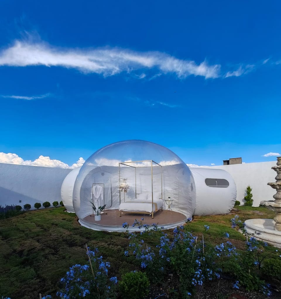 Natural landscape, Garden, Garden view