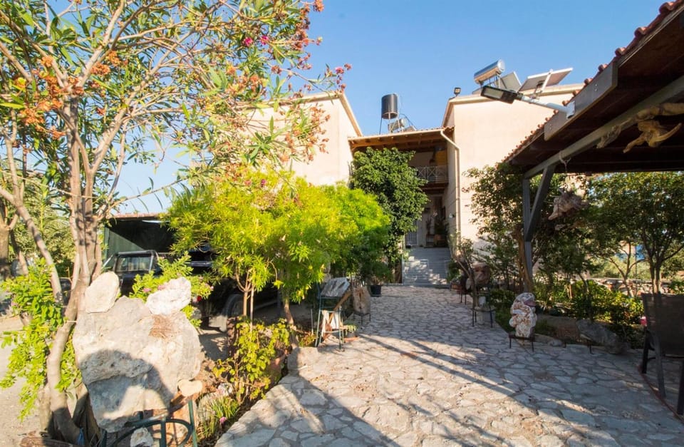 Property building, Spring, Day, Garden, Garden view