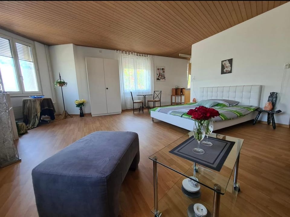 Eigerplatz Apartment in City of Bern