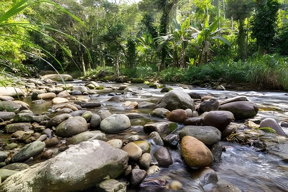 Chalet near the waterfall. Perfect for relaxing Apartment in State of Rio de Janeiro