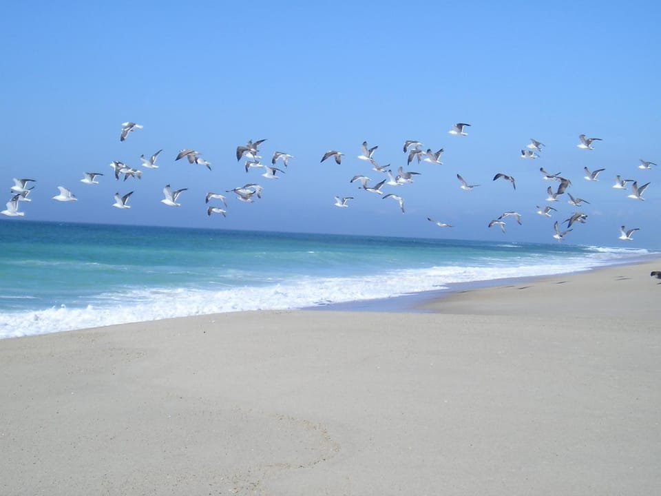 Beach, Sea view