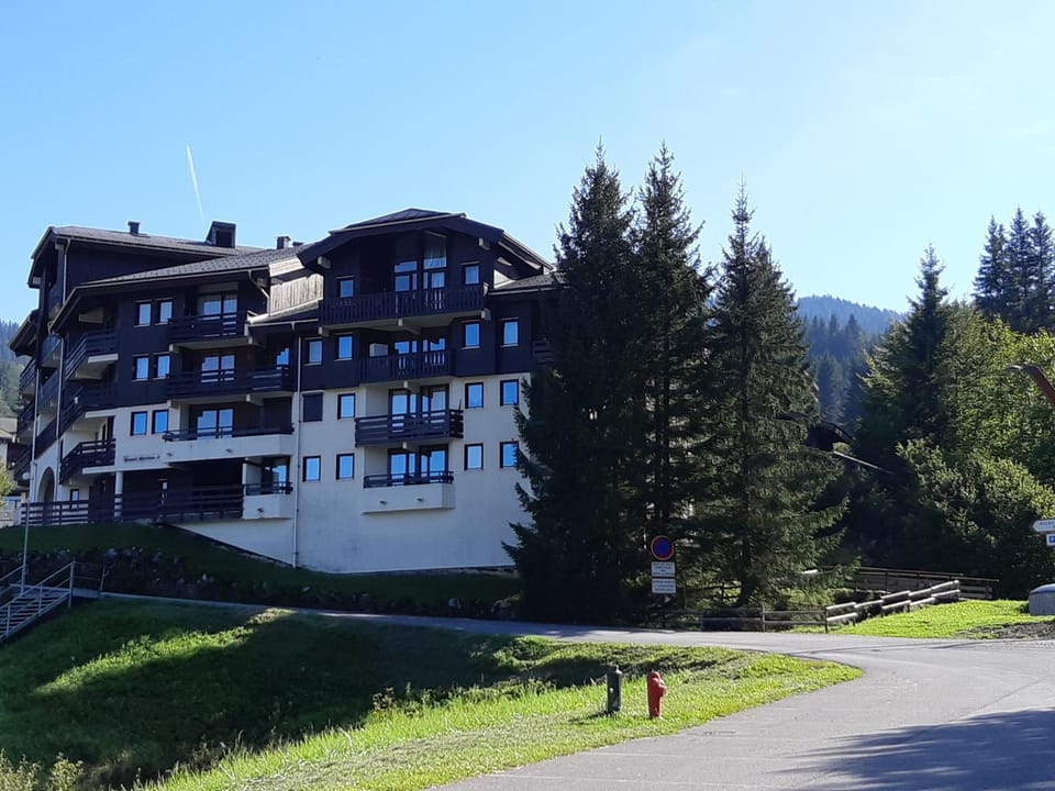Studio confortable pour 4 personnes au pied des pistes - FR-1-642-75 Apartment in Morillon