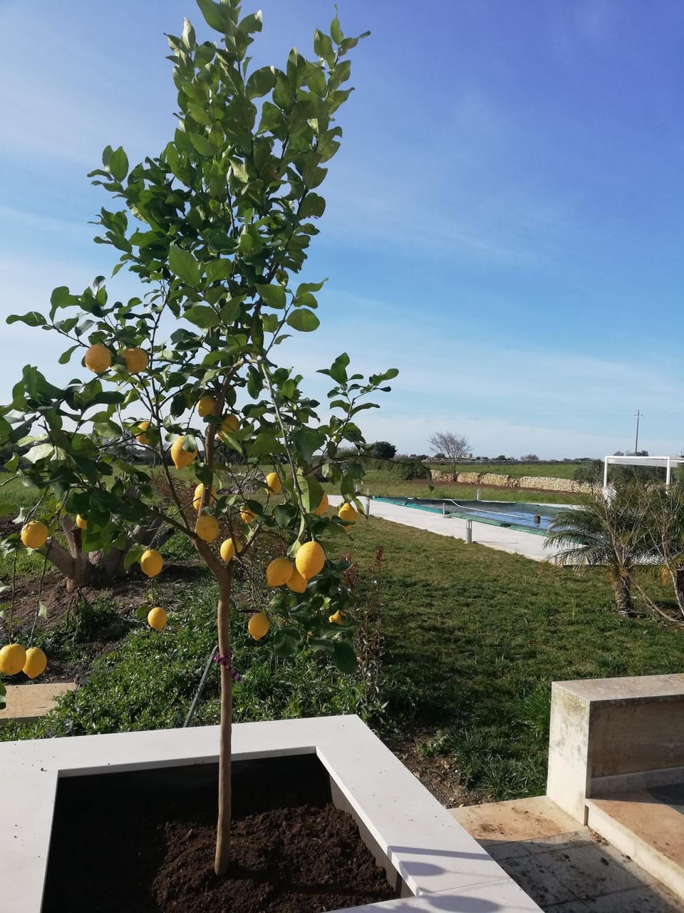 Spring, Day, Garden, Garden view, Pool view, Swimming pool
