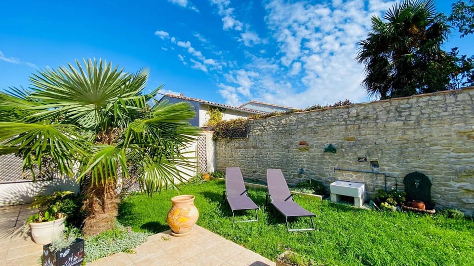Patio, Garden, Garden view, sunbed
