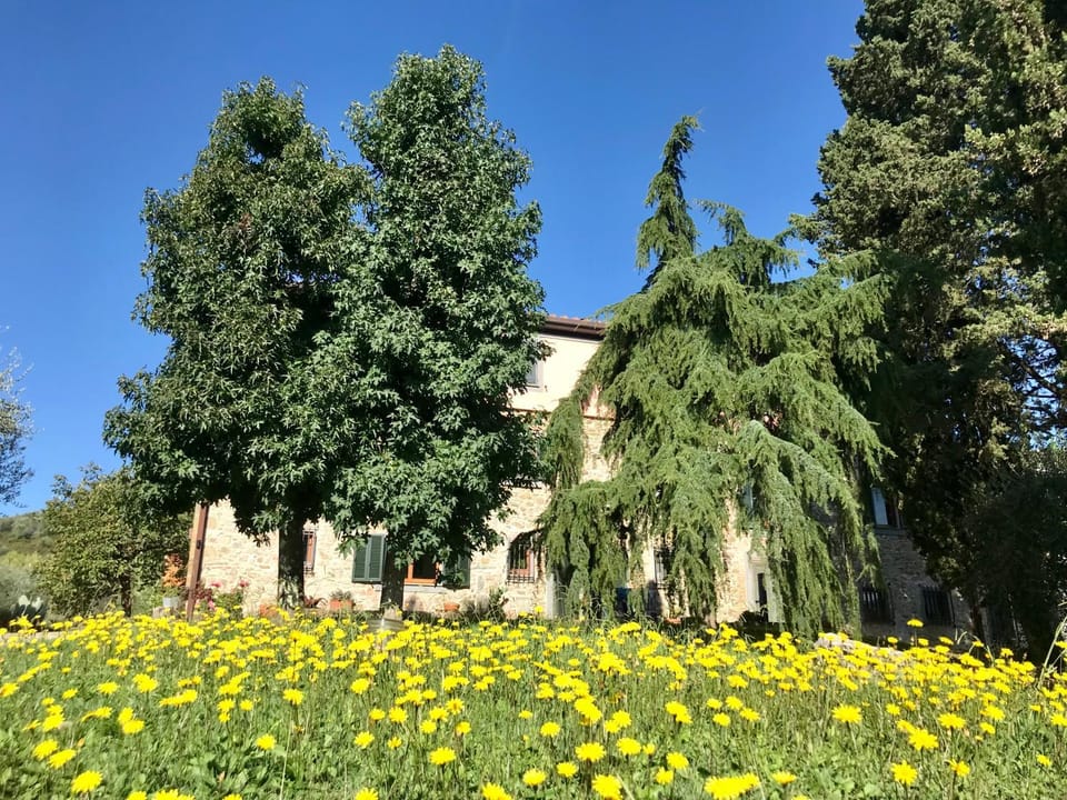 Property building, Garden, Garden view