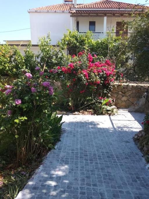 Ευχάριστο σπίτι με ωραίο κήπο Villa in Messenia