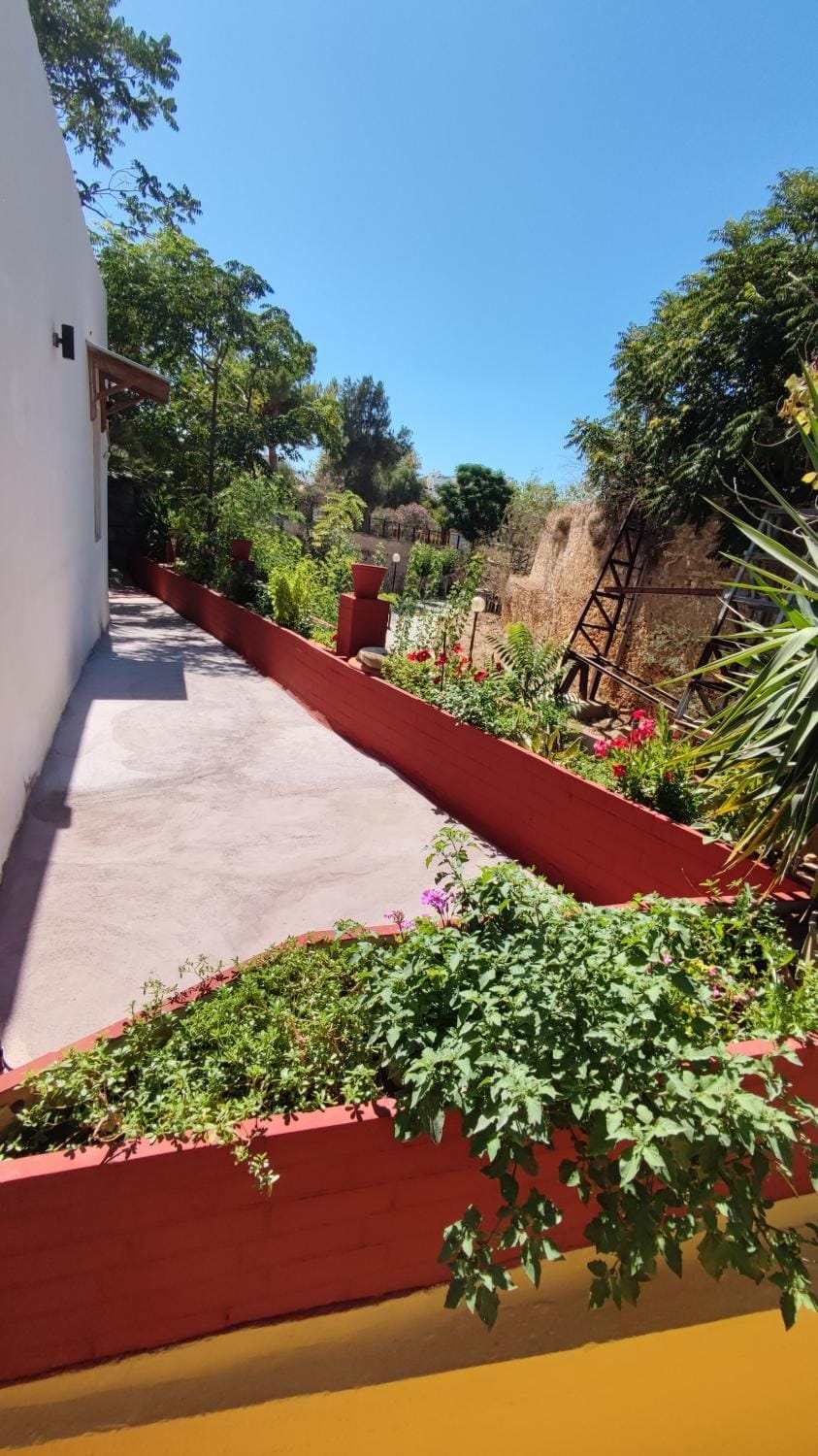 Day, Garden