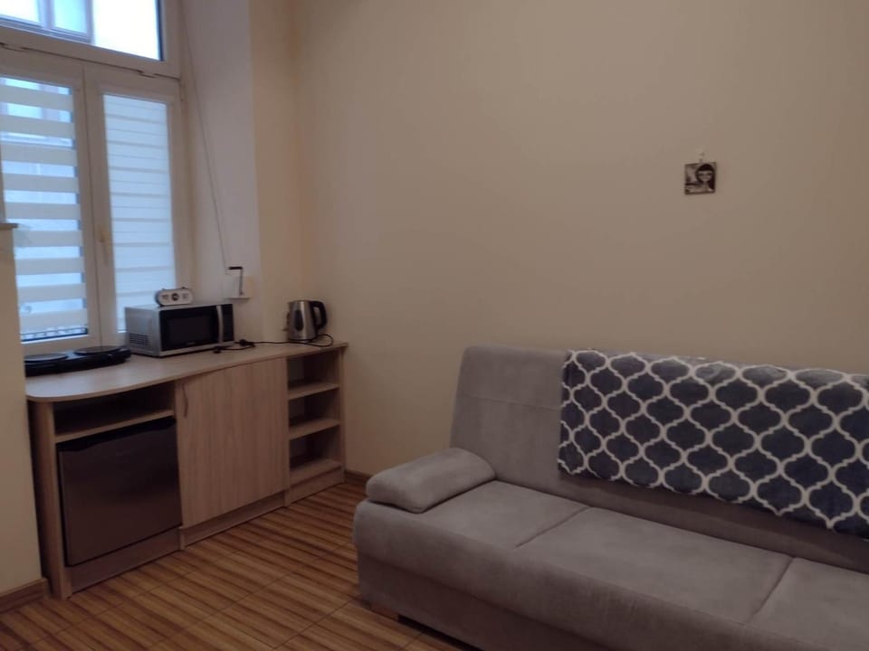 Little Big BC - Central Modern Studio Apartment in Krakow