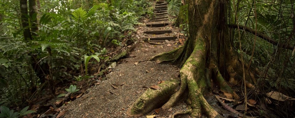 Natural landscape