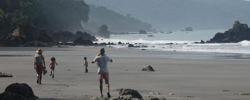Natural landscape, Beach, group of guests