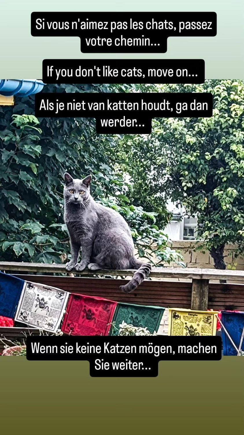 Pets