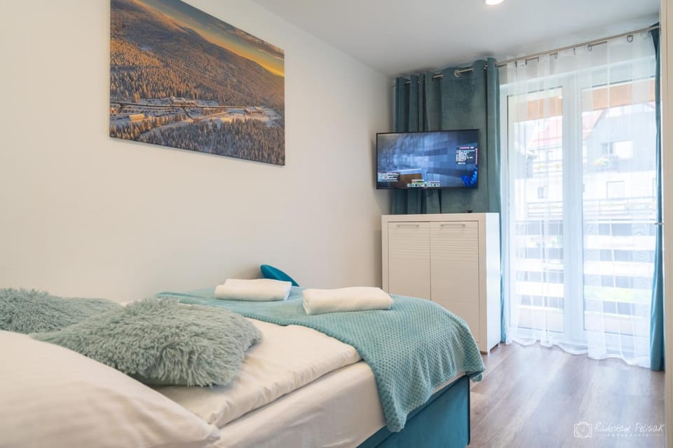 Bed, TV and multimedia, Balcony/Terrace, Photo of the whole room, Bedroom, wardrobe