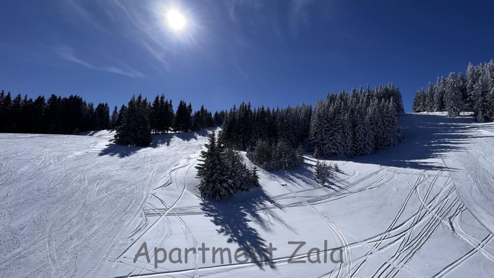 Winter, Ski School, Skiing