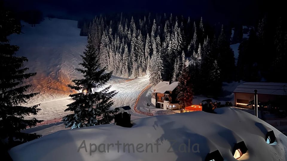 Night, Winter