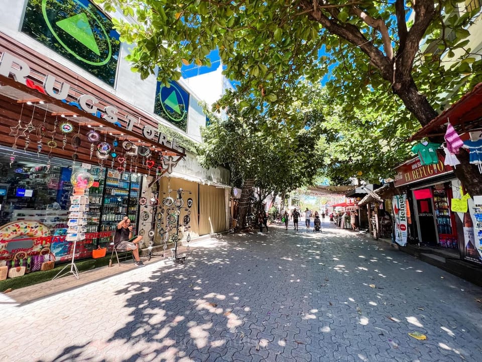 Pura Gorgeous & Trendy 2Bedroom near to 5th Avenue Apartment in Playa del Carmen