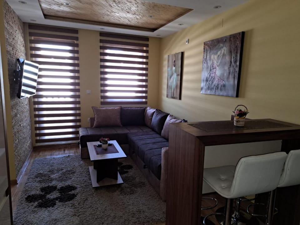Apartman Anđela Resort Zlatiborski konaci Apartment in Zlatibor