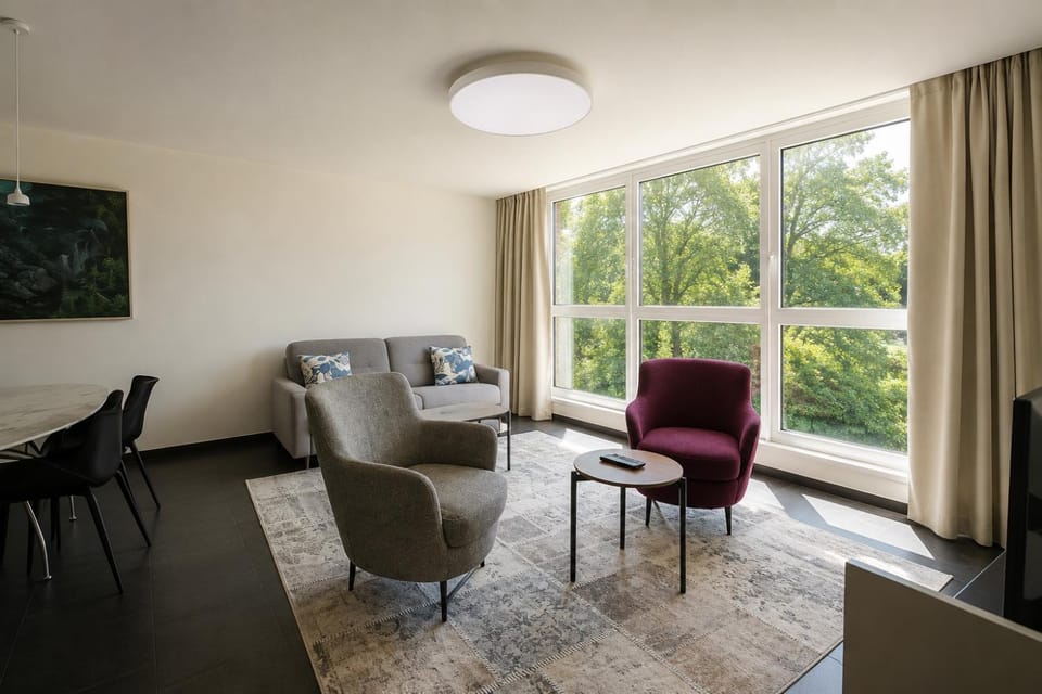 The Grand Apartment Apartment in Trieste