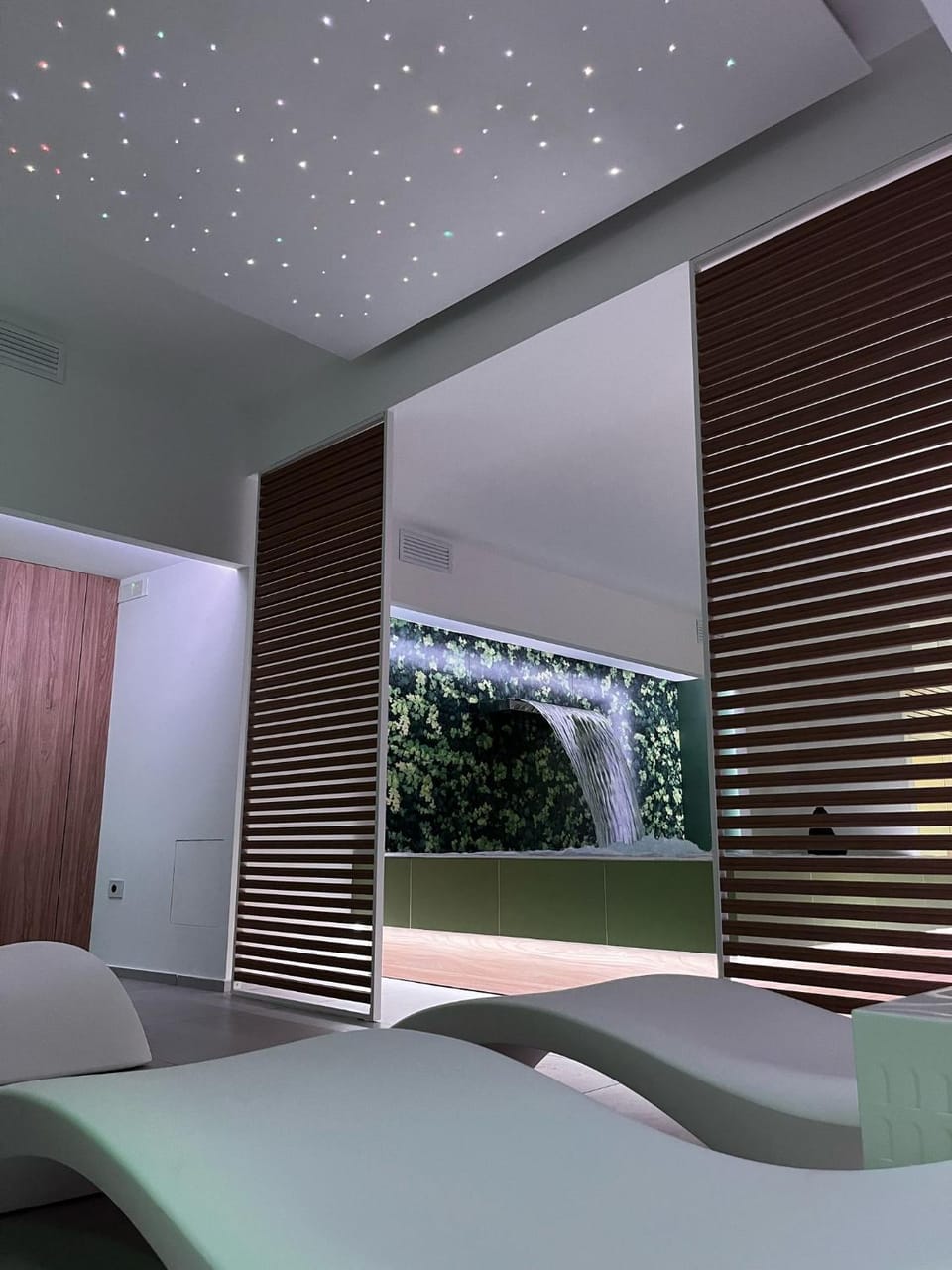 Spa and wellness centre/facilities, Swimming pool