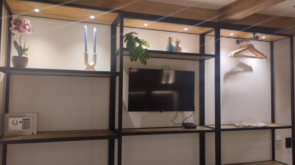 TV and multimedia