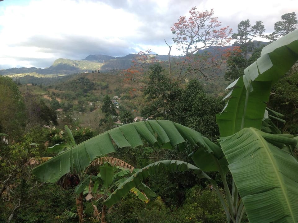 Mountain view