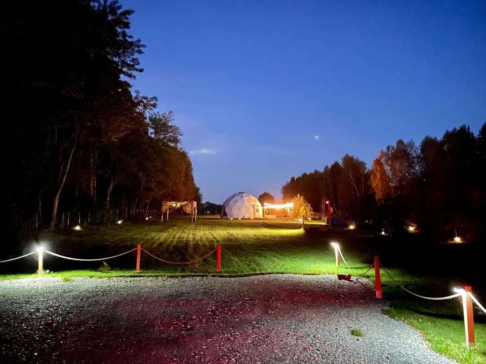 Night, Garden, Garden view
