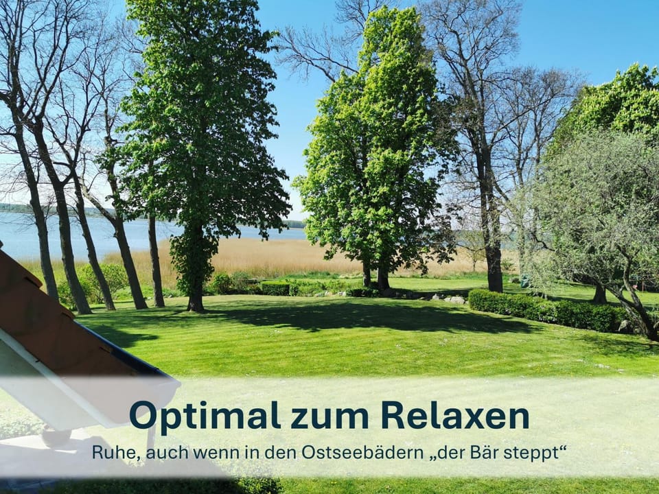 Natural landscape, Garden, Garden view