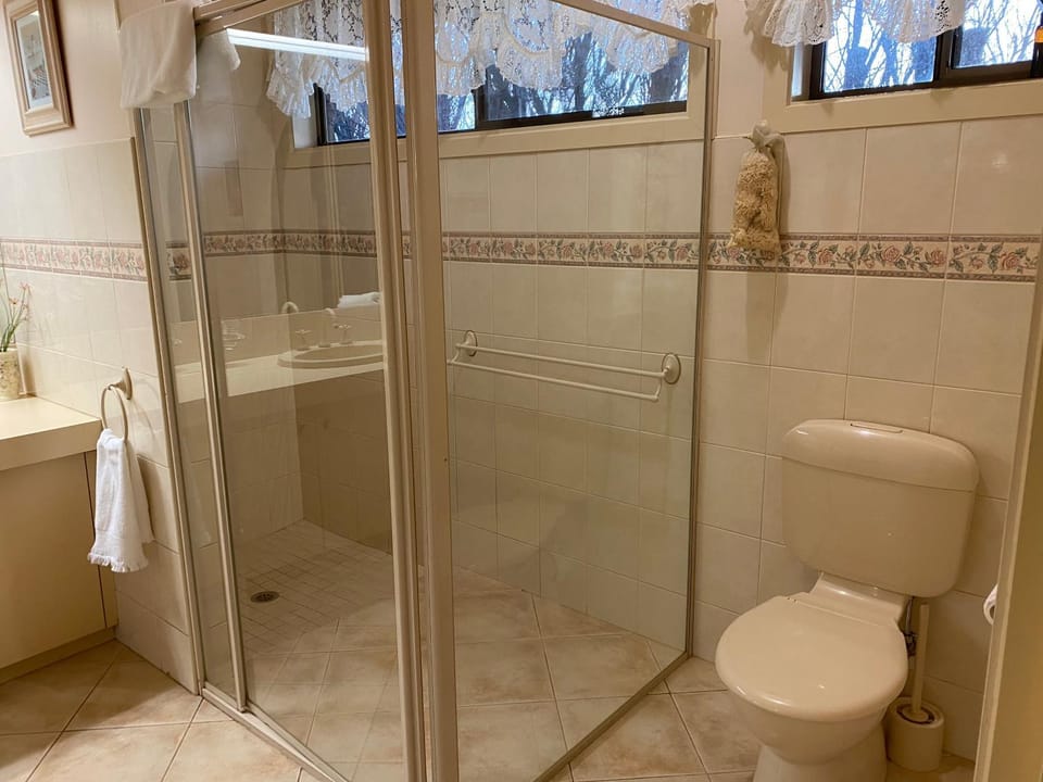Shower, Toilet, Bathroom, towels