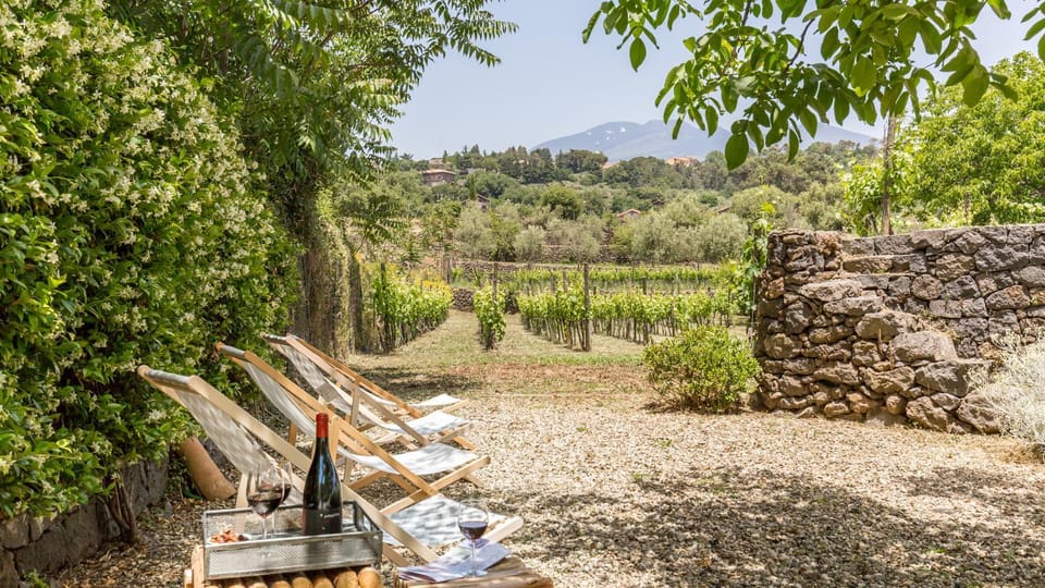 Spring, Day, Natural landscape, Garden, Garden view, Mountain view, sunbed